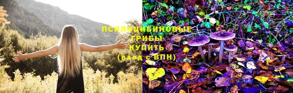спиды Волосово