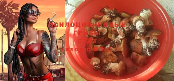 твердый Волоколамск