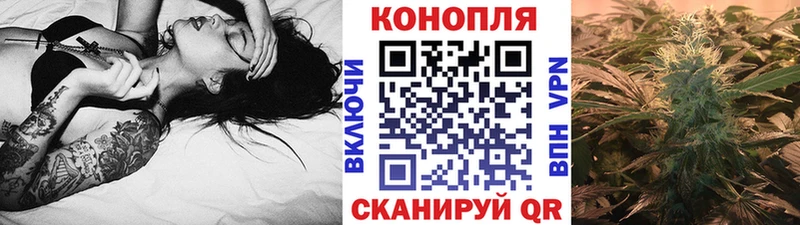 Бошки марихуана Bruce Banner  Купить закладки  Алейск 